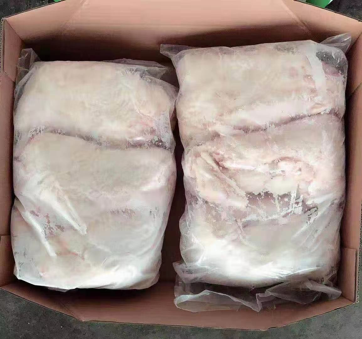 仔猪保温箱