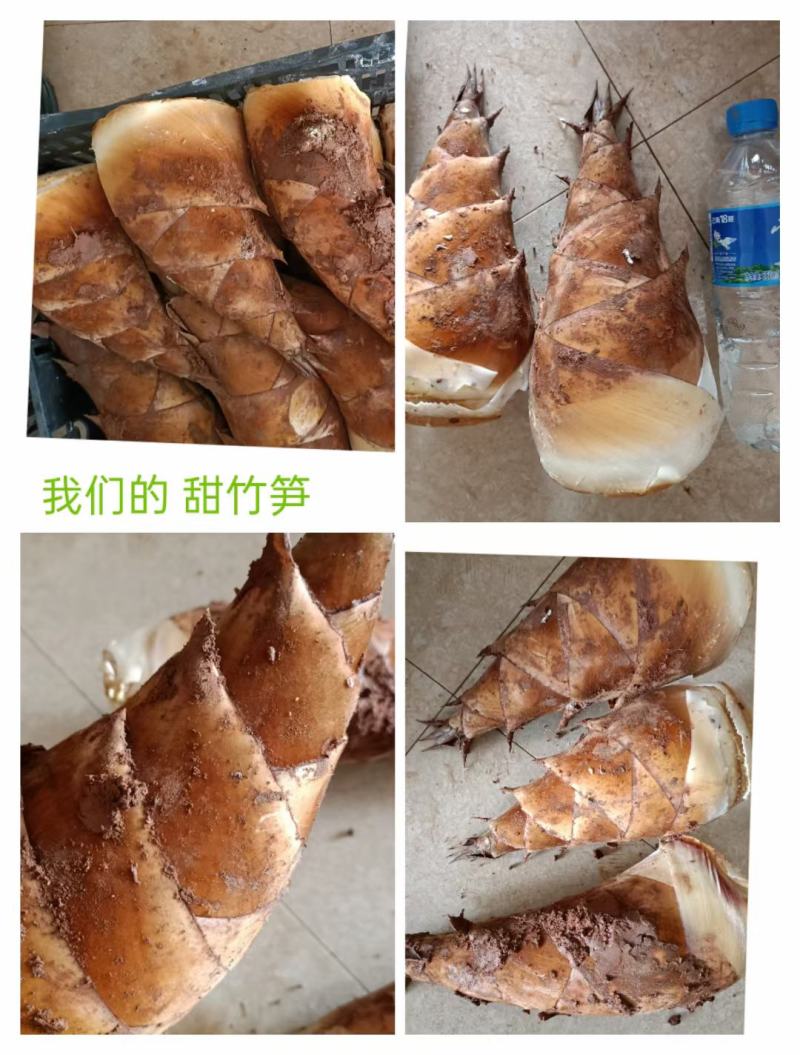 甜竹笋，甜笋甜竹笋的吃法在云南非常的多样，可以凉拌、可
