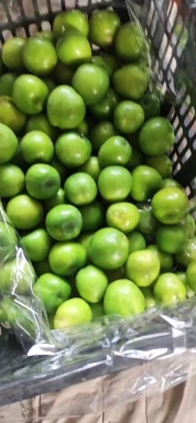 青枣云南大青枣牛奶枣品质好大量上市选择性强需要的联系我