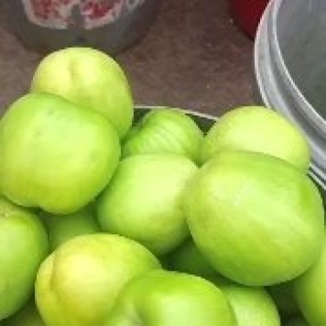 青枣云南大青枣牛奶枣品质好大量上市选择性强需要的联系我