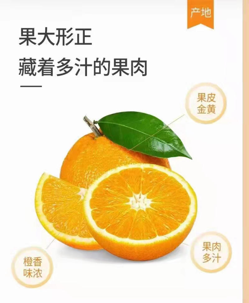 重庆奉节纽荷尔脐橙大量上市，品质好，口感好，基地直供
