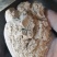 湖北谷糠粉饲料添加，油糠添加料厂家直发承接采购批发