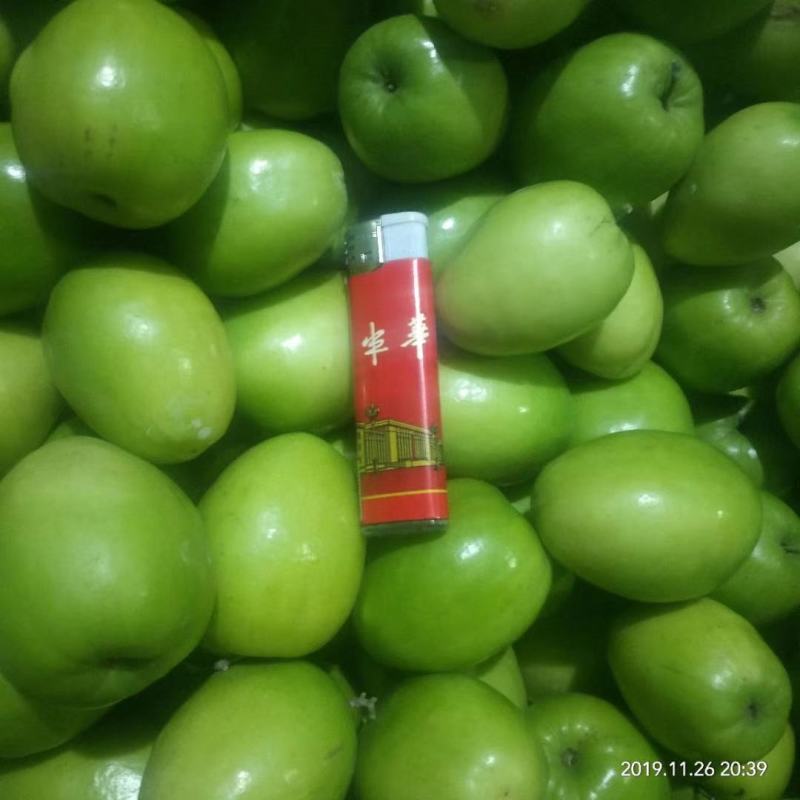 青枣牛奶枣云南大青枣小果大果大量上市品质好选择性强
