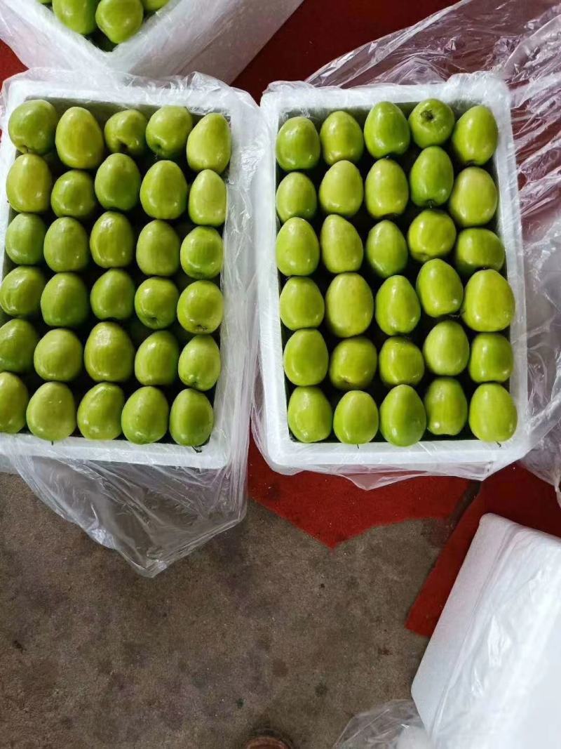 青枣牛奶枣云南大青枣小果大果大量上市品质好选择性强