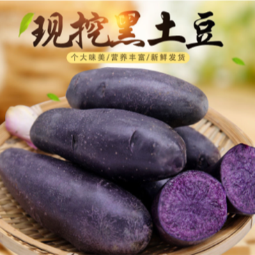 黑土豆黑美人紫土豆紫心土豆马铃薯黑金刚