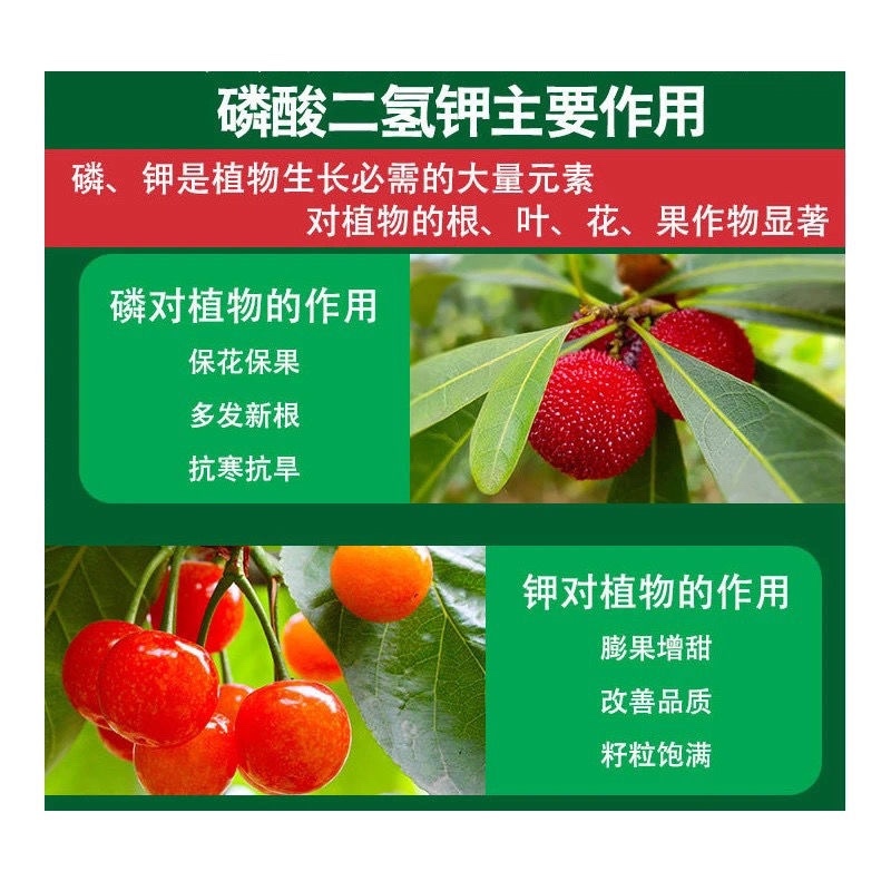 磷酸二氢钾99%速溶花肥绿植花卉蔬菜叶面肥钾肥肥料速溶