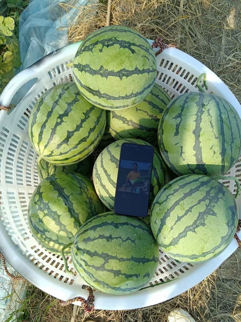 美都西瓜