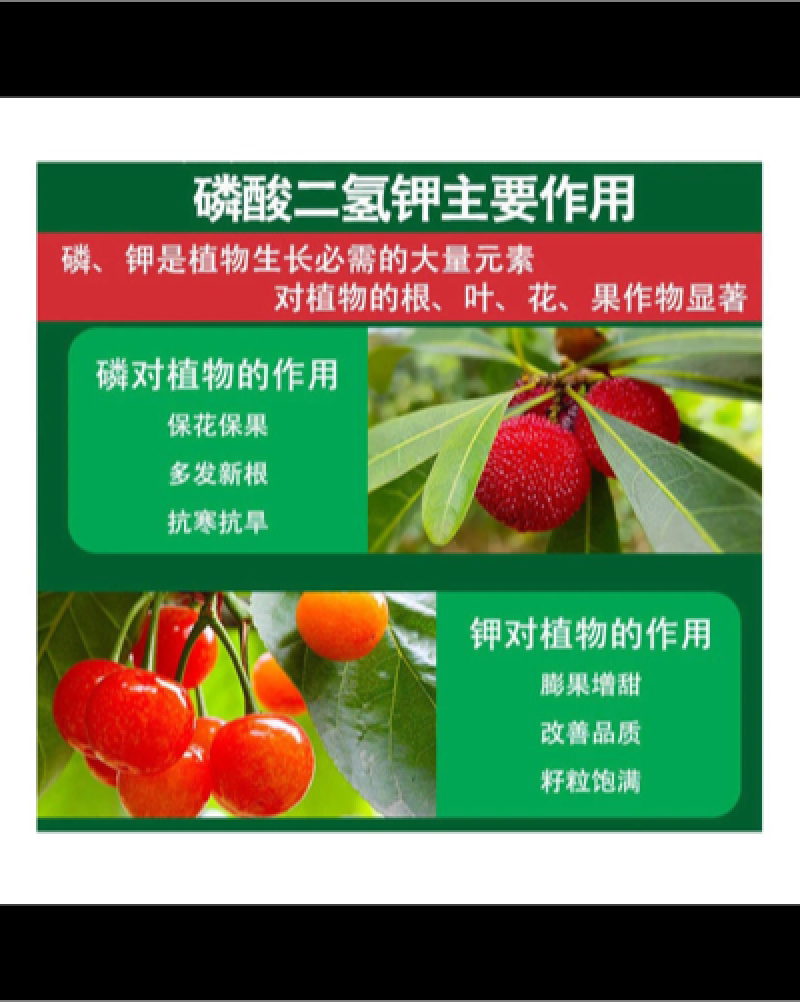 南轻科技99.5%磷酸二氢钾花肥园艺肥料钾肥磷肥叶面