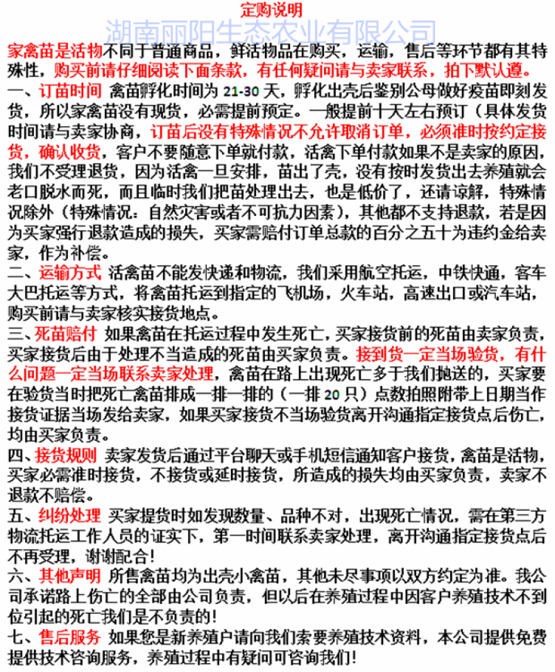 鸡苗黑乌鸡苗五黑鸡苗五黑一绿鸡苗黑乌绿壳蛋鸡