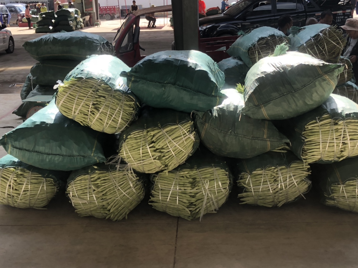 芝麻保存十多年的方法 - 冷冻保存示意图