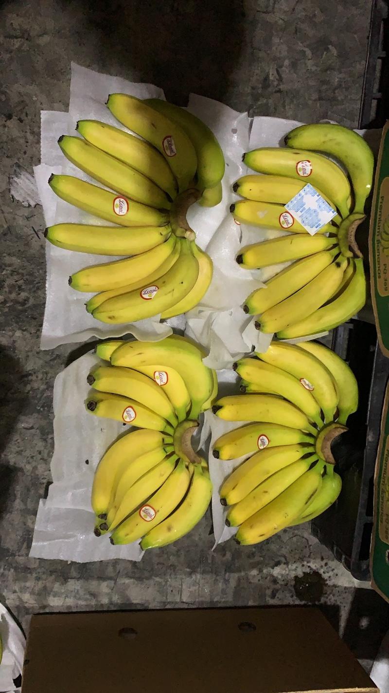 香蕉特价精品靓货，证件齐全全国发货，提前电话联系