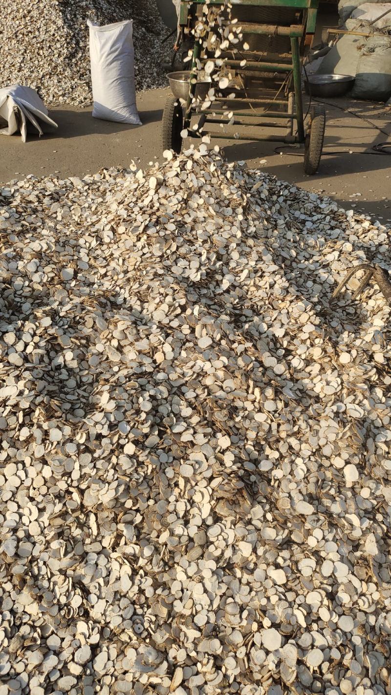 香料白芷产地加工
