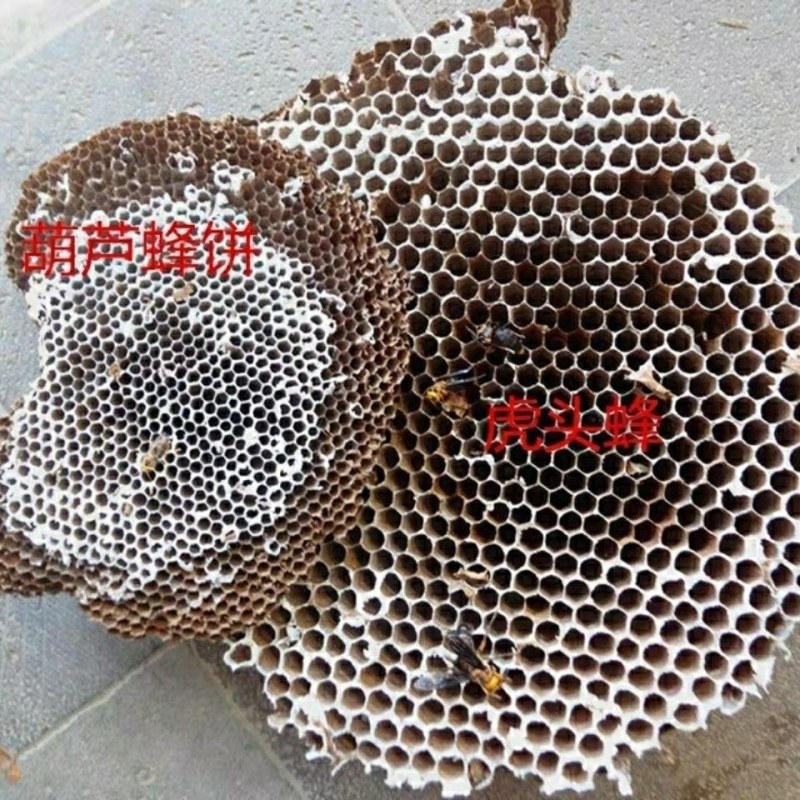 中药材蜂房马蜂窝巢煮水喝中药材质保当天发货