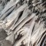 【军义农场】白玉山药大脚丫山药大巴掌大量现货供应