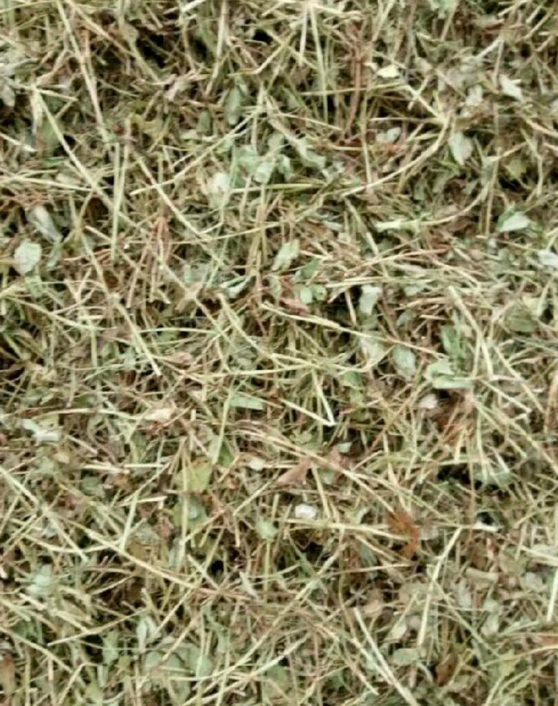 【精品】花生秧草料邓新草场花生秧牛羊草长年出售！