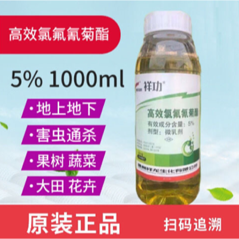 功夫5%高效氯氟氰菊酯蔬菜菜青虫小菜蛾茶小绿叶蝉杀虫剂