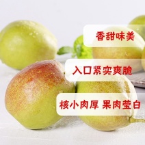 河南南阳梨库尔勒香梨一手货源实力代办欢迎联系