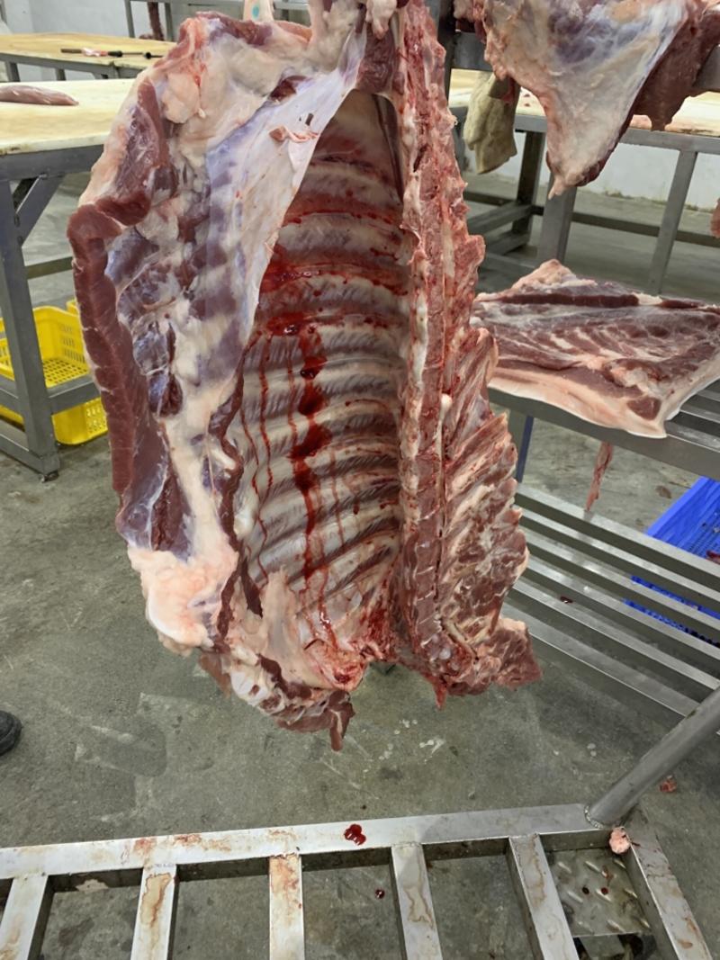 排骨精修排骨可多肉可少肉去头带头另有分割品散货供应