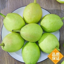 南阳内乡梨库尔勒香梨香梨产地直发货量充足一手货源
