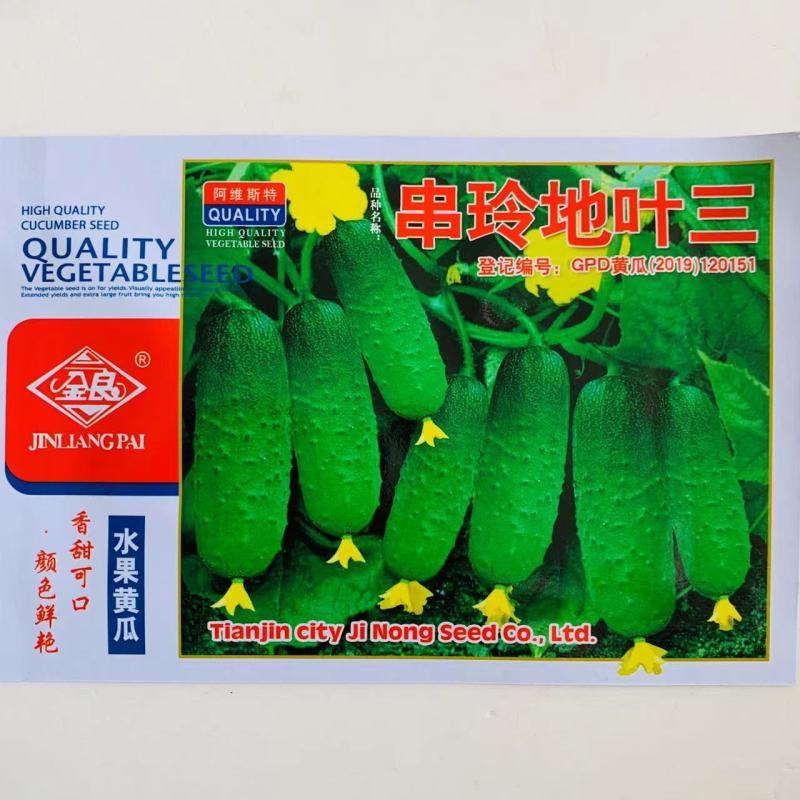 水果黄瓜种子早熟高产油亮瓜把短刺瘤少肉质脆嫩黄瓜种