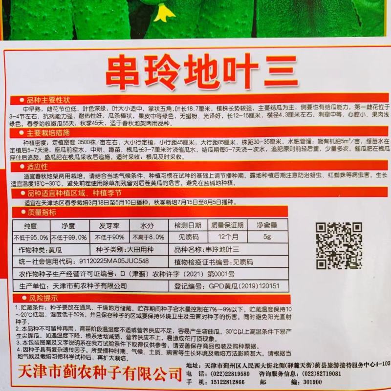 水果黄瓜种子早熟高产油亮瓜把短刺瘤少肉质脆嫩黄瓜种