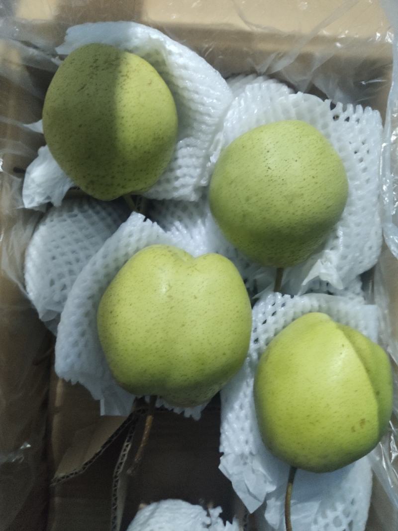 沃集鲜精品60四层带把皇冠梨