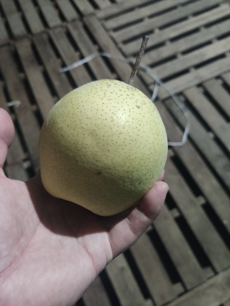 沃集鲜精品60四层带把皇冠梨