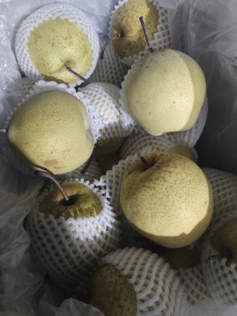 沃集鲜精品60四层带把皇冠梨