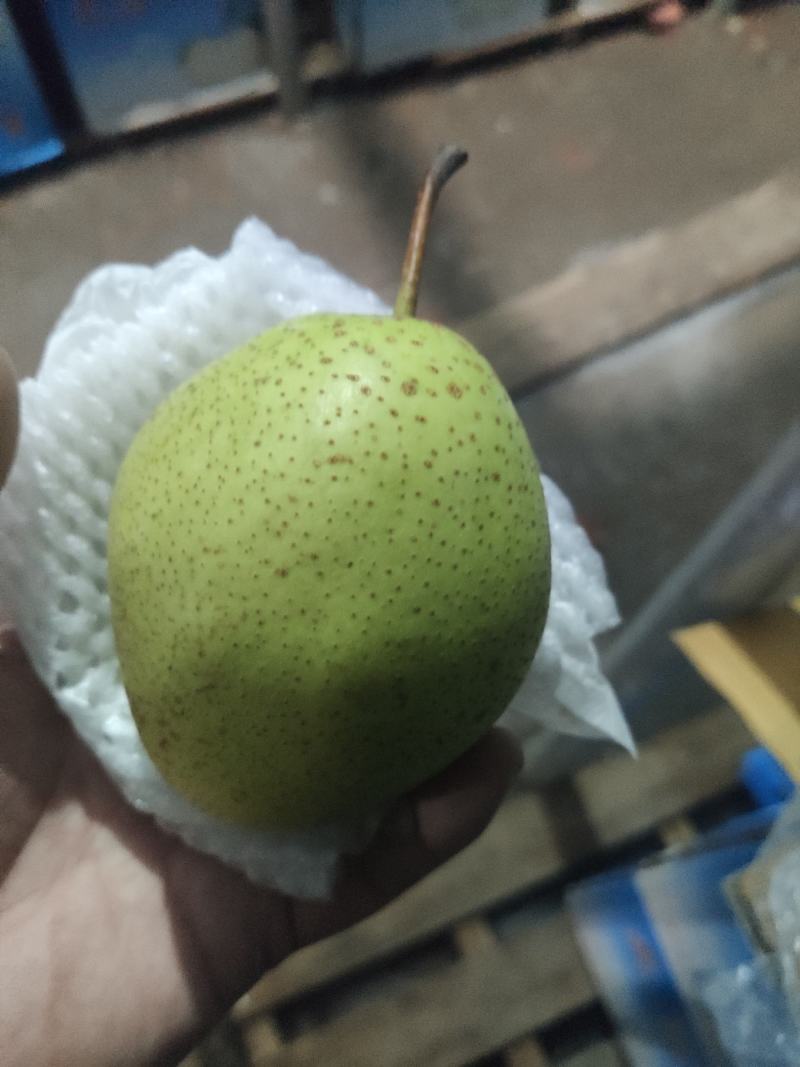 沃集鲜精品60四层带把皇冠梨