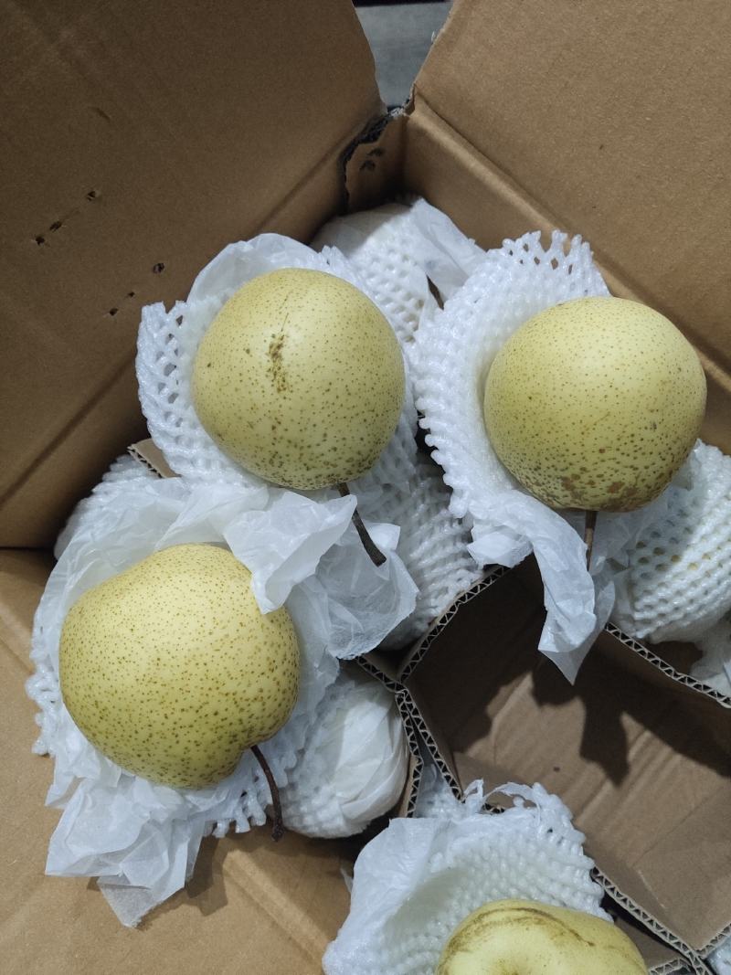 沃集鲜精品60四层带把皇冠梨