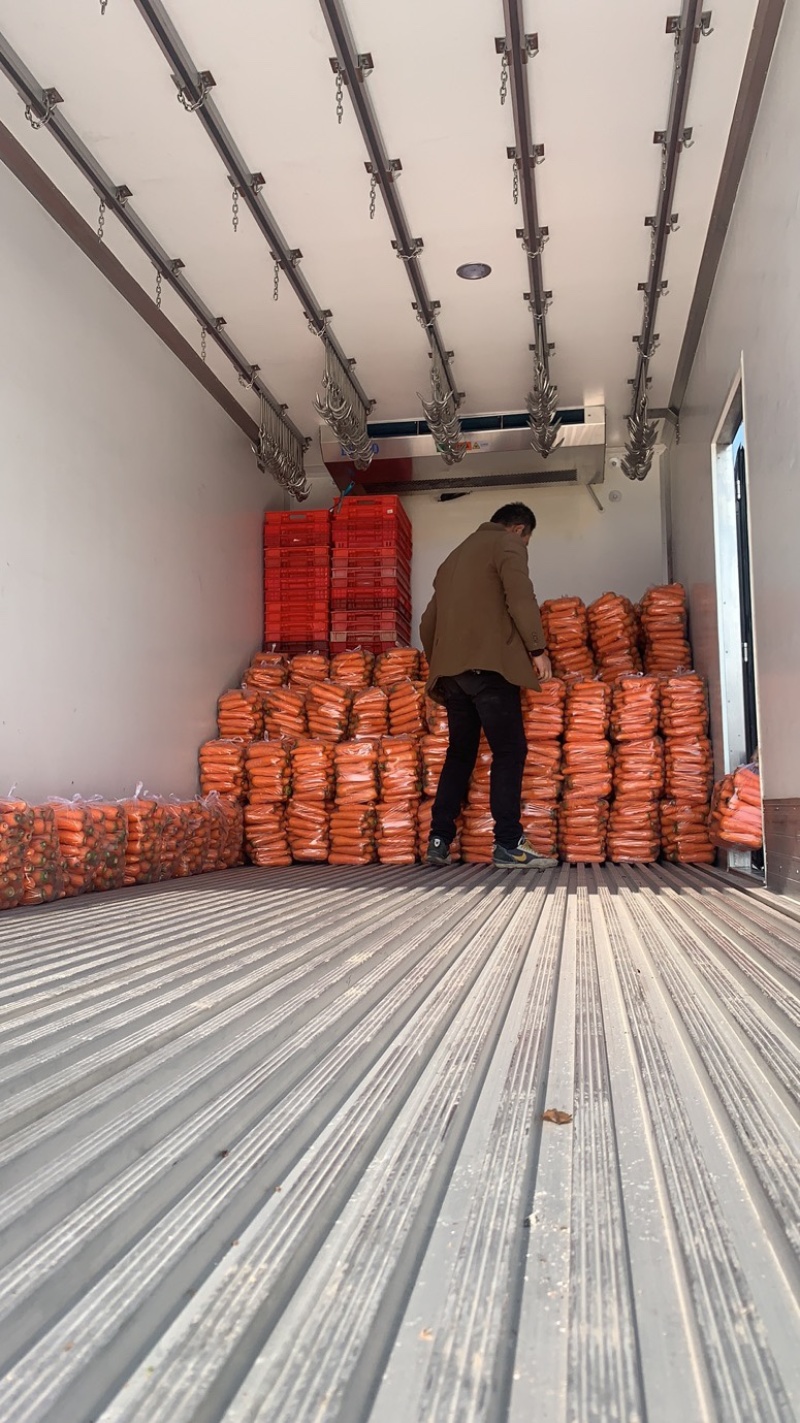 优质精品胡萝卜大量上市，欢迎新老客户前来选购，
