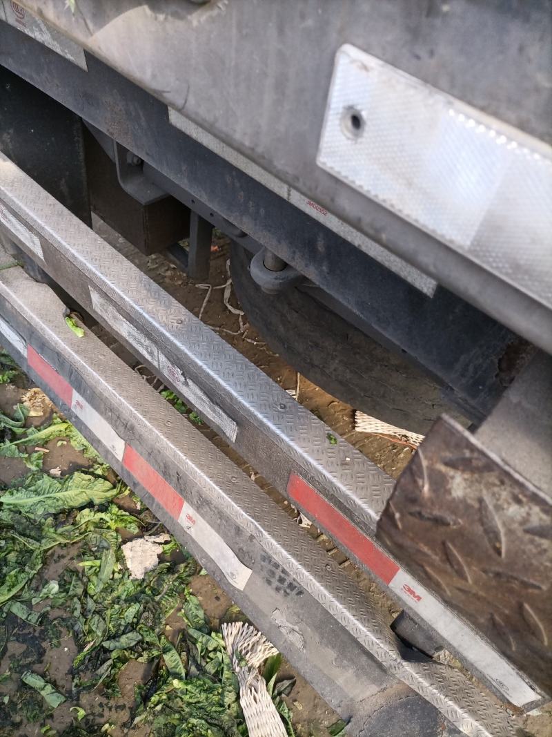 莴苣万亩基地，产地直销直发欢迎新老客户光临