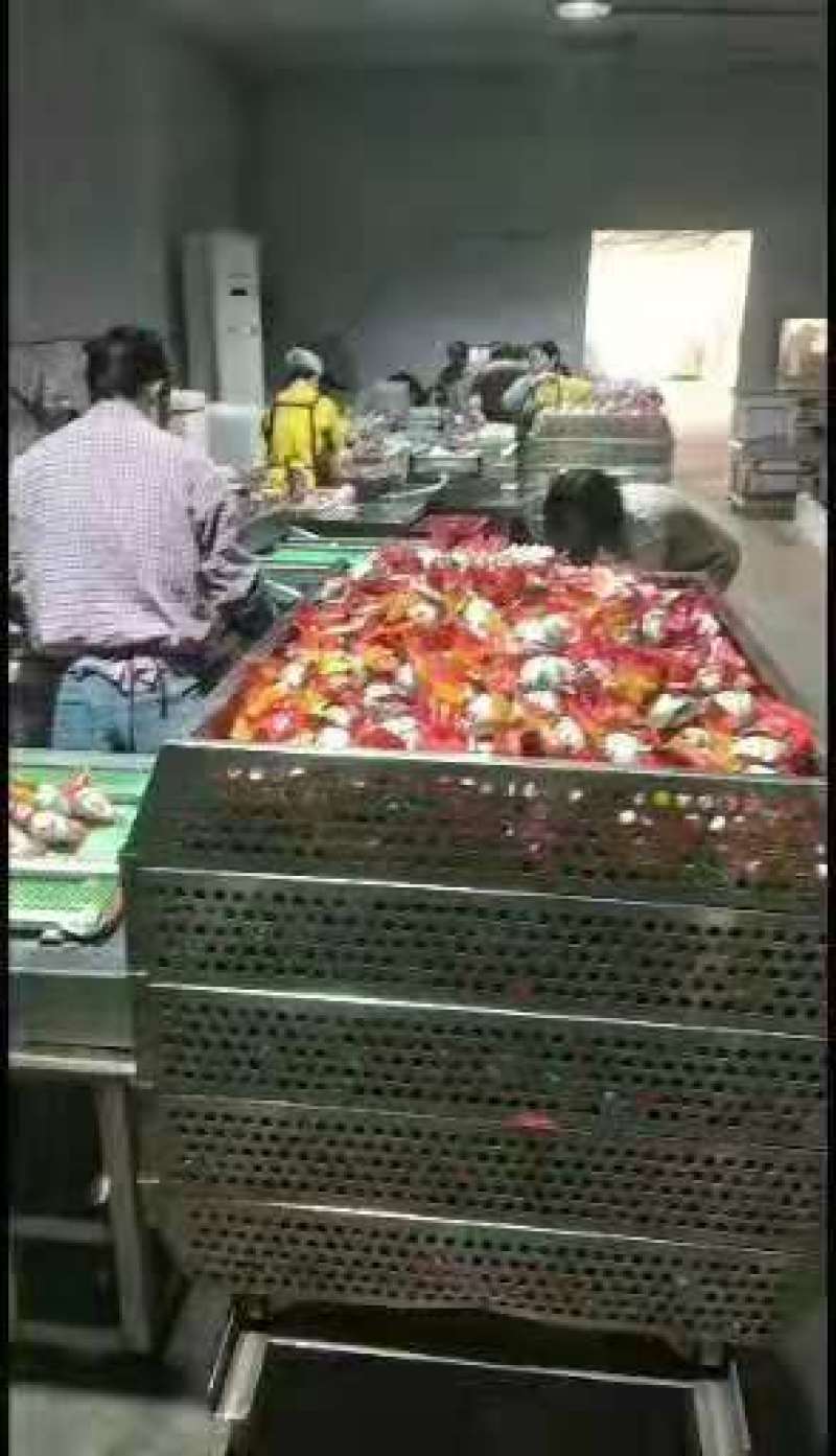 北海烤海鸭咸蛋，支持一件代发，工厂直发，保证质量