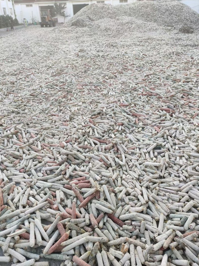 大量出售玉米芯