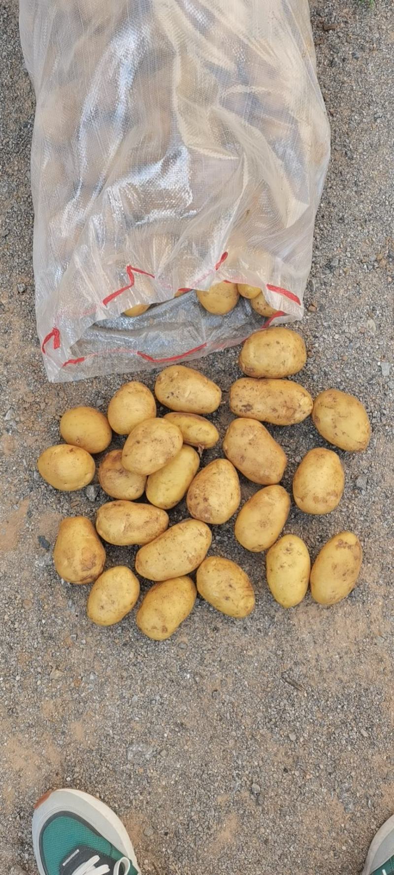 出口，电商，超市，食堂，市场，加工厂，做种子