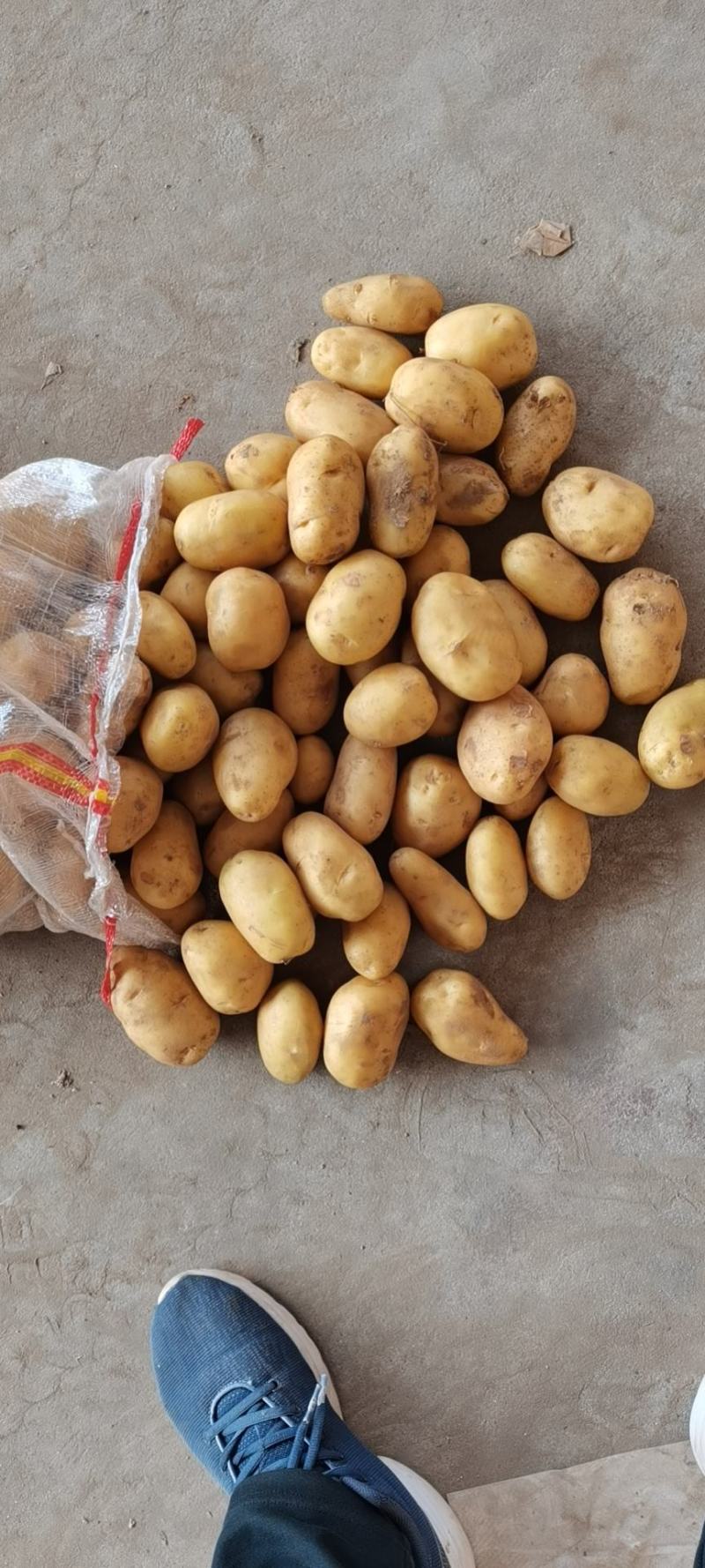 出口，电商，超市，食堂，市场，加工厂，做种子