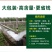 （厂家直供）土壤改良剂调盐碱促生根防板结沙化活土壤抗重茬