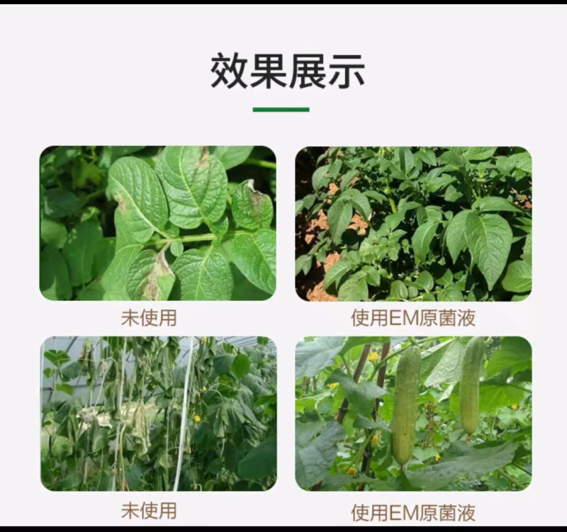 （厂家直供）土壤改良剂调盐碱促生根防板结沙化活土壤抗重茬