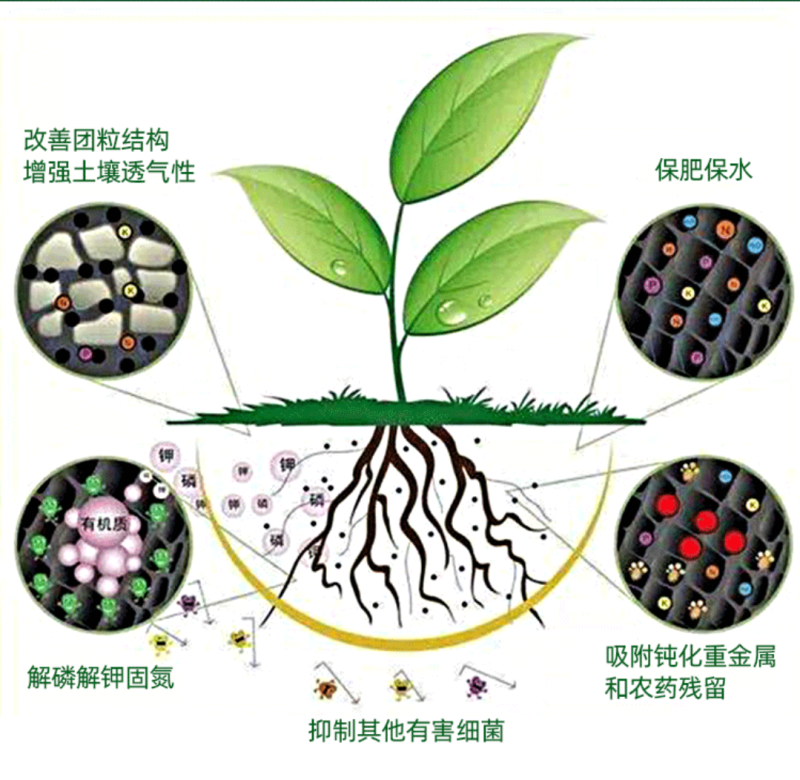 （厂家直供）土壤改良剂调盐碱促生根防板结沙化活土壤抗重茬