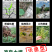 （厂家直供）土壤改良剂调盐碱促生根防板结沙化活土壤抗重茬