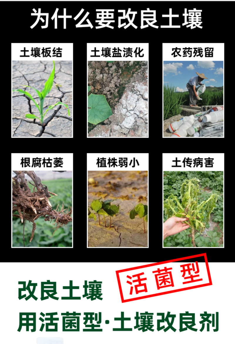 （厂家直供）土壤改良剂调盐碱促生根防板结沙化活土壤抗重茬