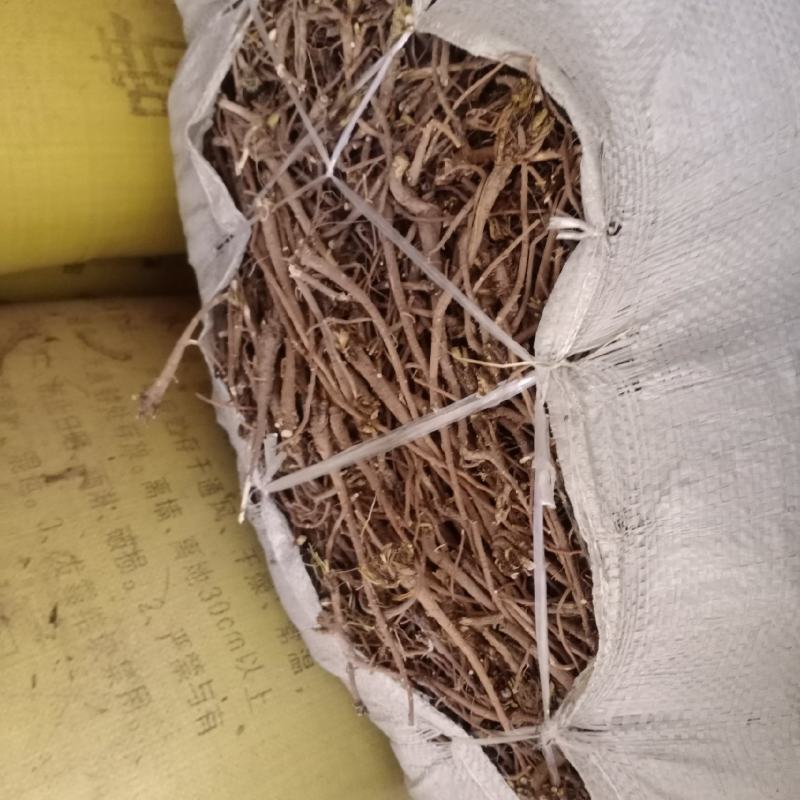 柴胡