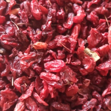 山萸肉山茱萸枣皮新货上市质量保证量大从优