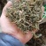 苦绞股蓝非茶用农副产品不满意可退换货保证正品