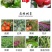 70%烯酰霜脲氰葡萄黄瓜土豆霜霉病早晚疫病杀菌剂农药