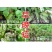70%烯酰霜脲氰葡萄黄瓜土豆霜霉病早晚疫病杀菌剂农药