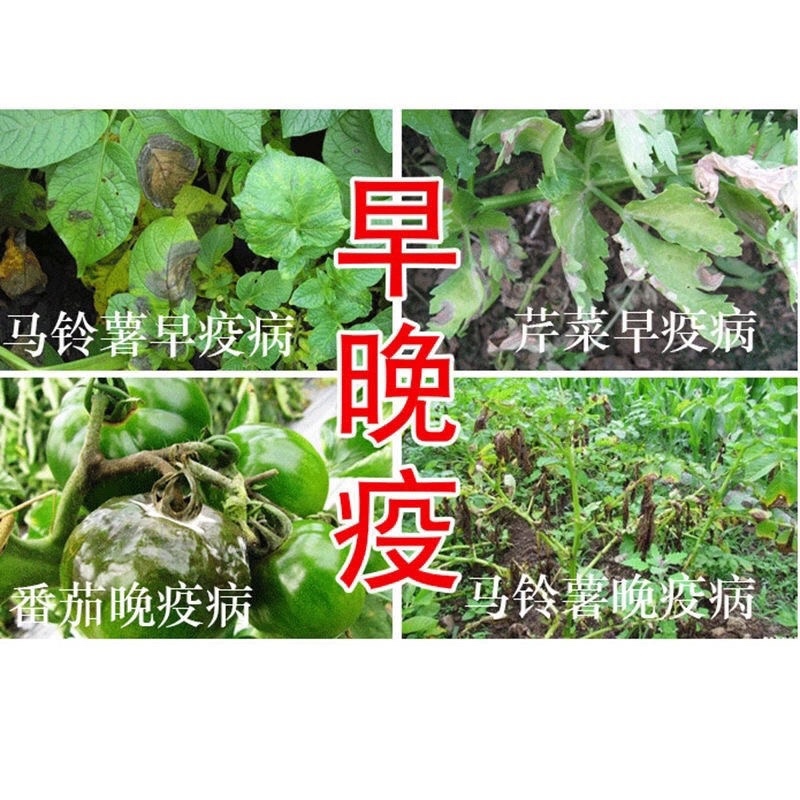 70%烯酰霜脲氰葡萄黄瓜土豆霜霉病早晚疫病杀菌剂农药