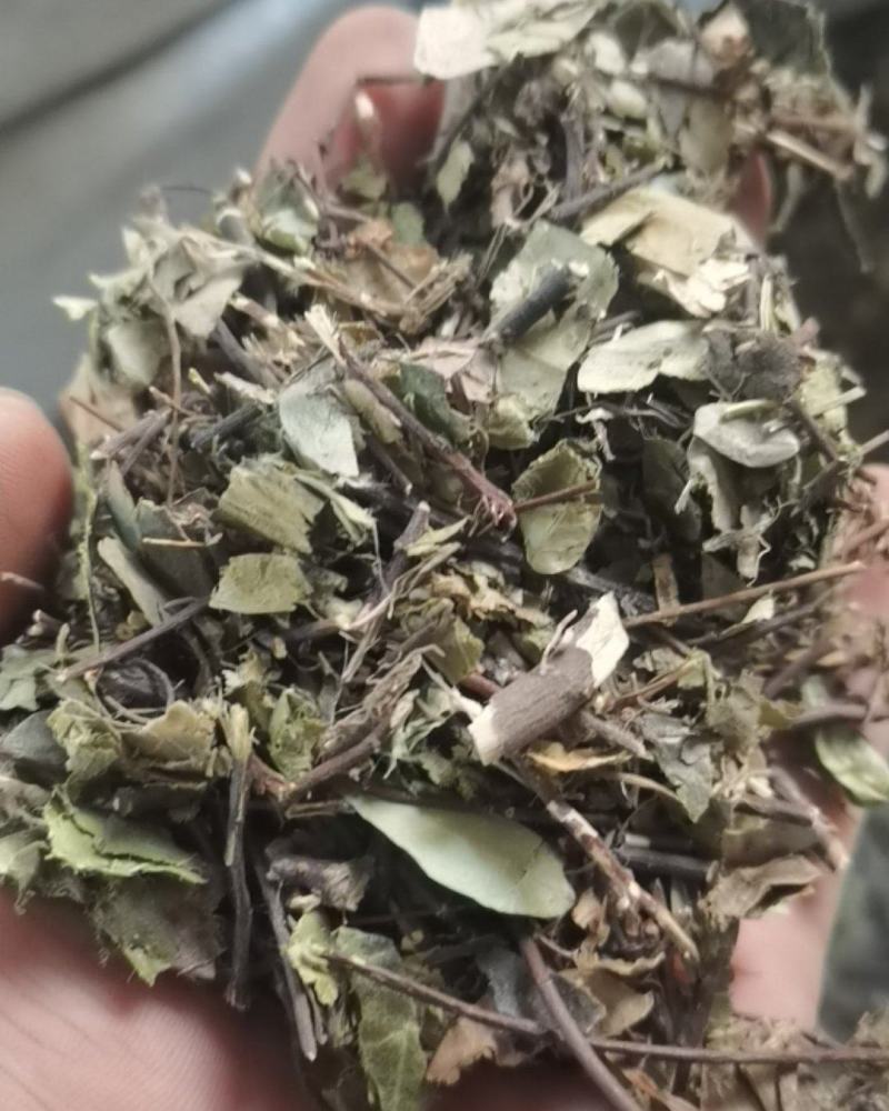 络石藤络石草羊角藤不满意可退换货