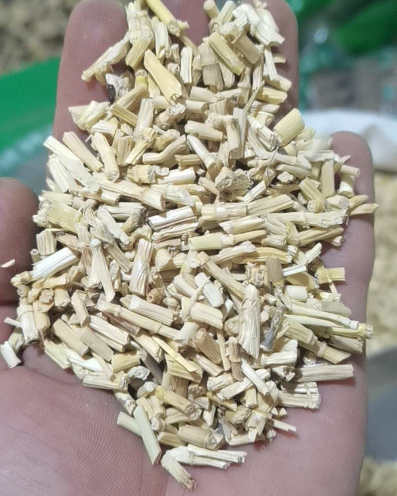 白茅根白毛根干甜草根坚草跟凉茶中药材茅草根毛草