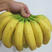 香蕉高山香蕉威廉斯香蕉芭蕉非小米蕉红香蕉苹果蕉一件代发